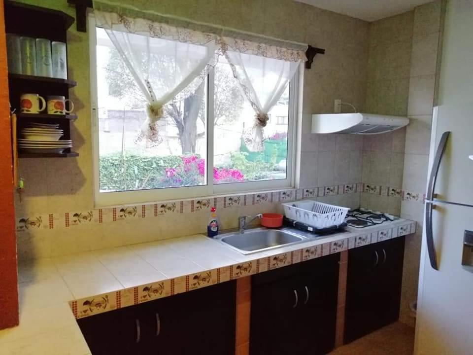 Апартаменты Hermoso Depa De 3 Recamaras Y 2 Banos En El Centro De Coyoacan Мехико Экстерьер фото