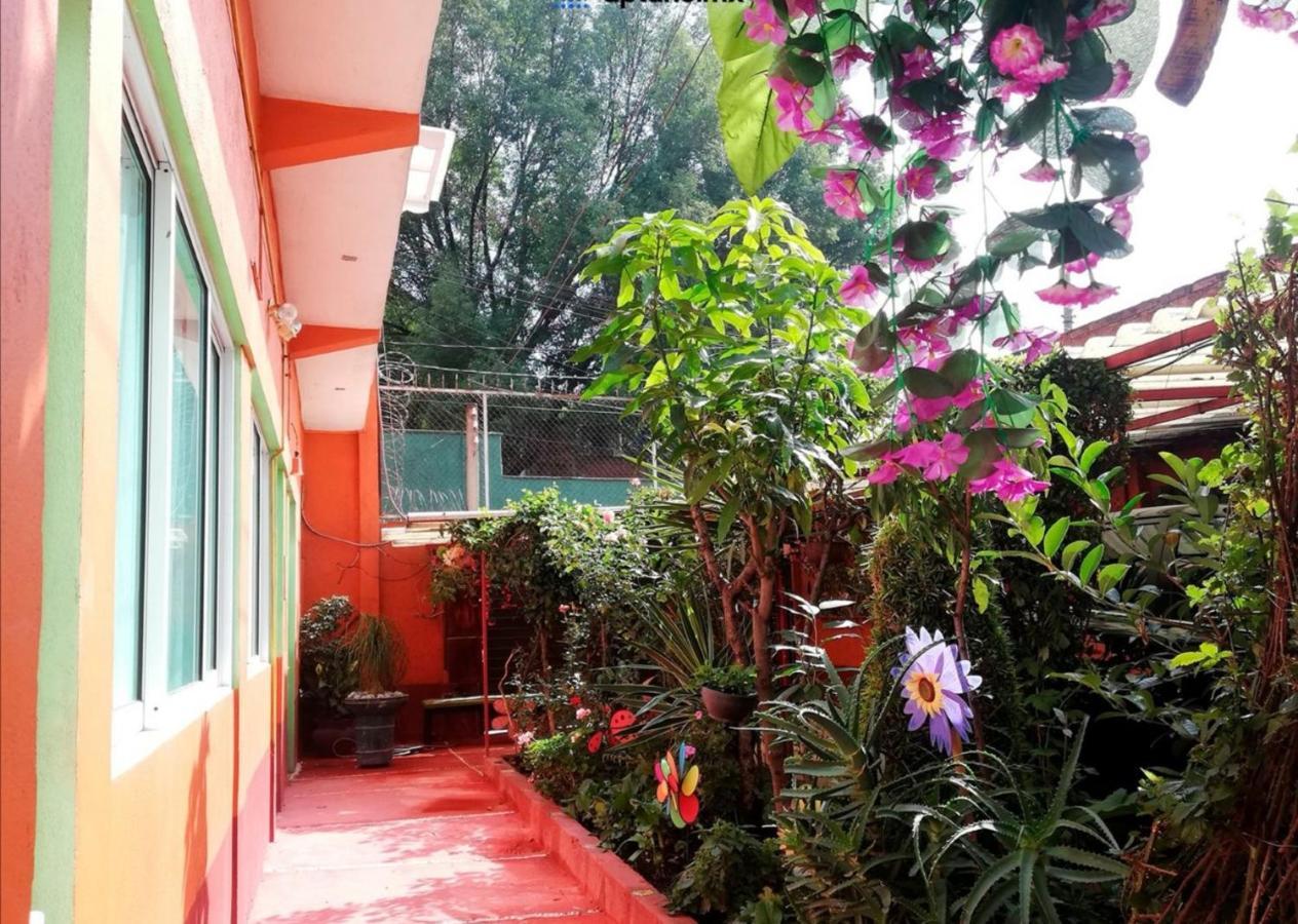 Апартаменты Hermoso Depa De 3 Recamaras Y 2 Banos En El Centro De Coyoacan Мехико Экстерьер фото